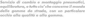 Servizio di cambio e montaggio pneumatici, equilibratura, e tutto cio’ che concerne il mondo delle gomme da strada, con un particolare occhio alla qualità e alla gamma.